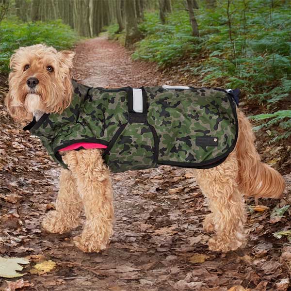 Hond met jas